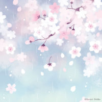 桜雨 春の夜