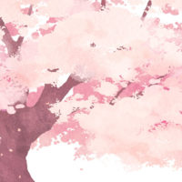 桜 桜吹雪