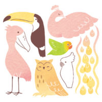 酉年年賀状デザイン 野鳥 熱帯の鳥